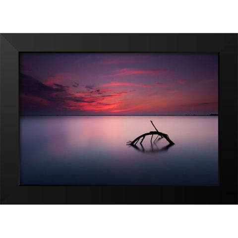 Colors Of Evening Black Modern Wood Framed Art Print by Olech, Michal