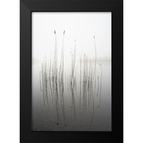 Silence Black Modern Wood Framed Art Print by Ahern, David