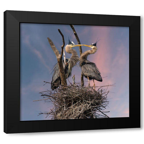 Happy Family Trio Black Modern Wood Framed Art Print by Wang, Kevin