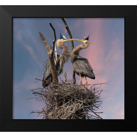 Happy Family Trio Black Modern Wood Framed Art Print by Wang, Kevin