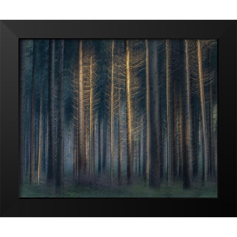 In The Afternoon Black Modern Wood Framed Art Print by Talen, Nel