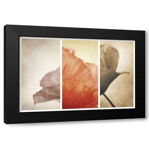 Fading Memories Black Modern Wood Framed Art Print by Davidsson, Gustav