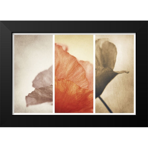 Fading Memories Black Modern Wood Framed Art Print by Davidsson, Gustav