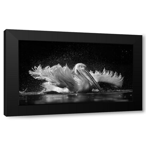 Refreshing Black Modern Wood Framed Art Print by Tjandra, C.S.