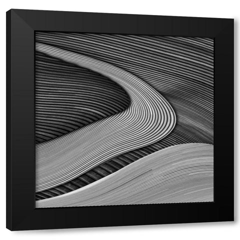 The Wood Project Iii - Zen Garden Black Modern Wood Framed Art Print by Vangindertael, Luc