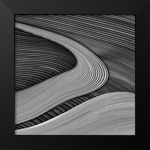 The Wood Project Iii - Zen Garden Black Modern Wood Framed Art Print by Vangindertael, Luc