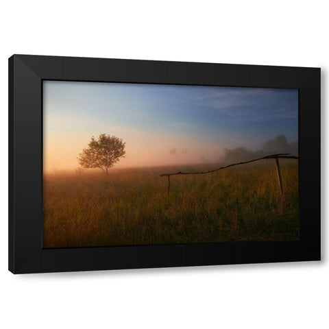 The Summer Field Black Modern Wood Framed Art Print with Double Matting by Mierzejewski, Krzysztof