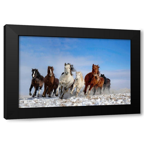 Mongolia Horses Black Modern Wood Framed Art Print with Double Matting by Zhang, Libby