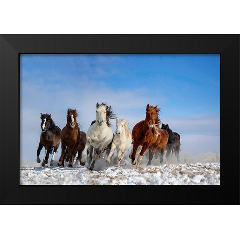 Mongolia Horses Black Modern Wood Framed Art Print by Zhang, Libby