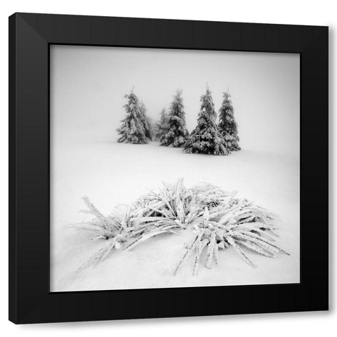 Winter Scenery Black Modern Wood Framed Art Print with Double Matting by Rericha, Daniel