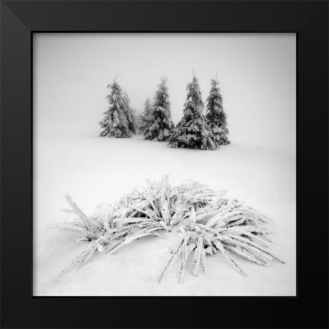 Winter Scenery Black Modern Wood Framed Art Print by Rericha, Daniel