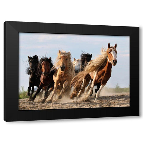 Lucky Six Black Modern Wood Framed Art Print with Double Matting by Wong, Adam