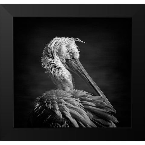Pelican Black Modern Wood Framed Art Print by Tjandra, C.S.