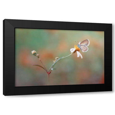 Nangkring Indah Black Modern Wood Framed Art Print by Isna Maulana, Adi