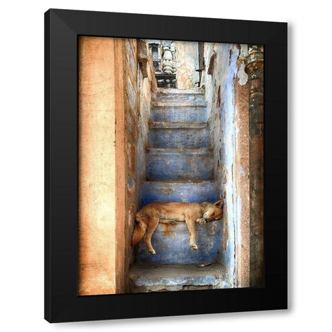 Nap Time Black Modern Wood Framed Art Print with Double Matting by Labagnara, Roxana