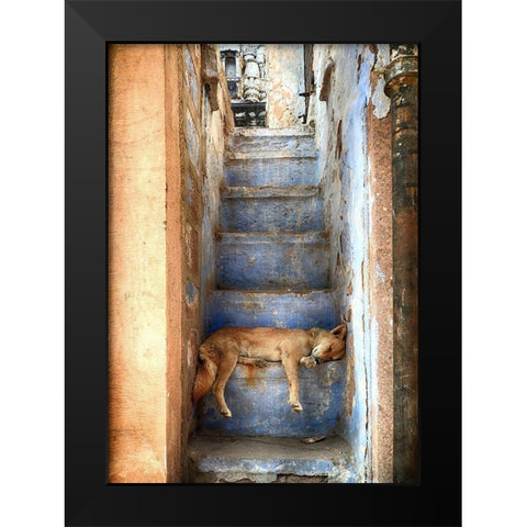 Nap Time Black Modern Wood Framed Art Print by Labagnara, Roxana