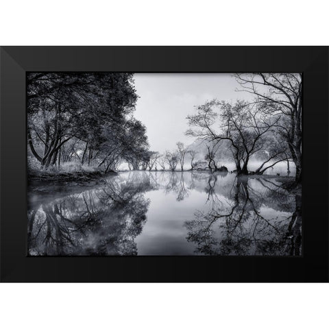 Healing Spot Black Modern Wood Framed Art Print by Seo, Tiger