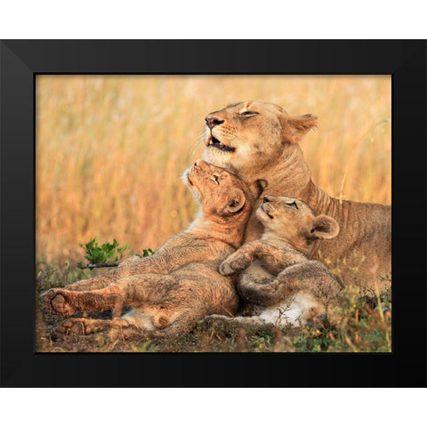 Mothers Love Black Modern Wood Framed Art Print by Marx, Jaco