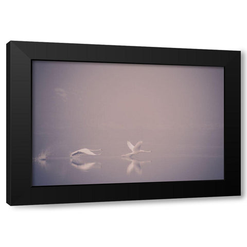 Foggy Takeoff Black Modern Wood Framed Art Print with Double Matting by Dalheim, Jonas