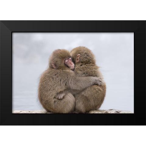 Forever Friends Black Modern Wood Framed Art Print by Marumoto, Takeshi
