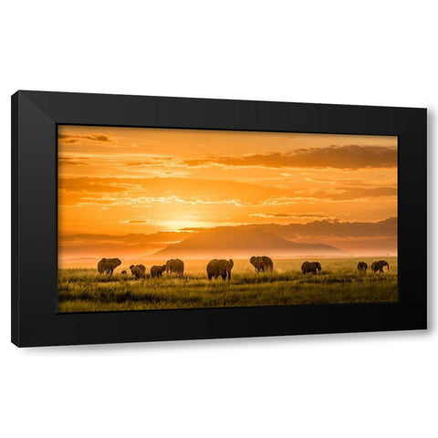 Golden Africa Black Modern Wood Framed Art Print with Double Matting by J. Chen, John