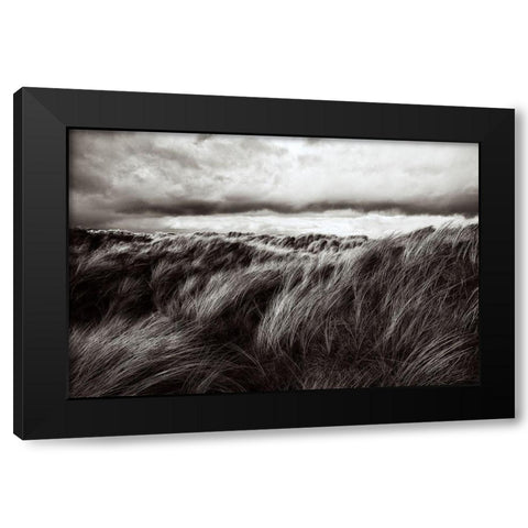 Dunes Of Grass Black Modern Wood Framed Art Print by Paul