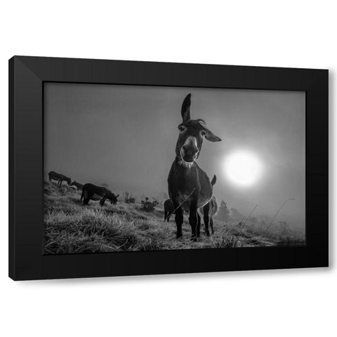 Friend Black Modern Wood Framed Art Print by Traverso, Alessandro