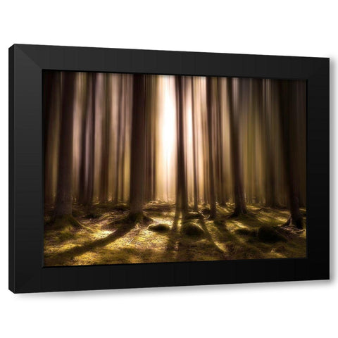 Breath Of Life Black Modern Wood Framed Art Print by Lindsten, Christian