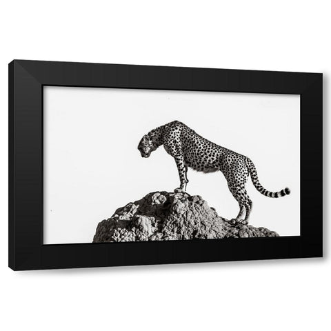 The Hunter Black Modern Wood Framed Art Print with Double Matting by ali