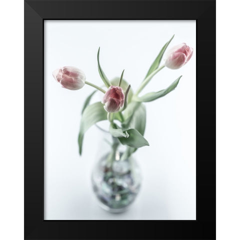 For My Girl Black Modern Wood Framed Art Print by Skvortsov, Dmitry