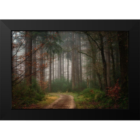 Reveries Black Modern Wood Framed Art Print by Borggreve, Ellen