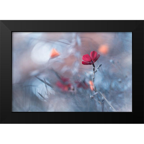 Diaprures Vacgactales Black Modern Wood Framed Art Print by Bravin, Fabien