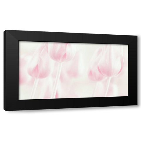 Softness Black Modern Wood Framed Art Print by Devos, Delphine