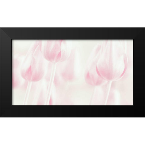 Softness Black Modern Wood Framed Art Print by Devos, Delphine
