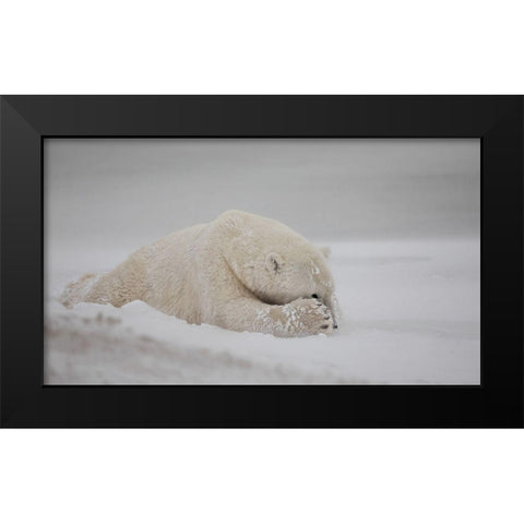 Now You See Me Black Modern Wood Framed Art Print by Catta, Alessandro