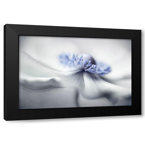 Anemone Spirit Black Modern Wood Framed Art Print with Double Matting by Disher, Mandy