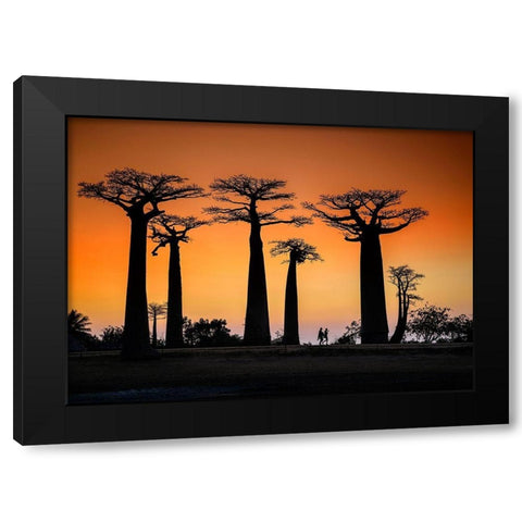 Sunset In Morondava Black Modern Wood Framed Art Print by Ren Rong, Raymond