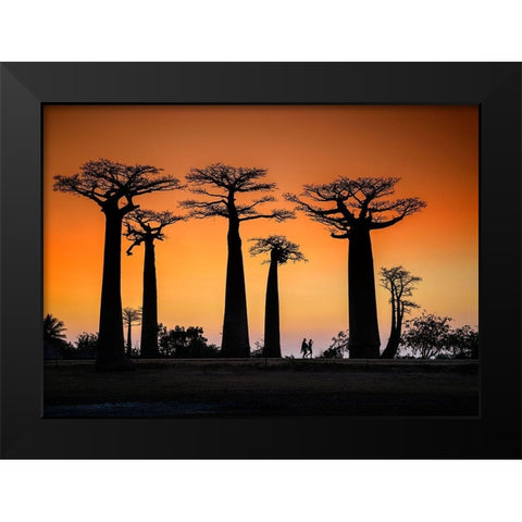 Sunset In Morondava Black Modern Wood Framed Art Print by Ren Rong, Raymond
