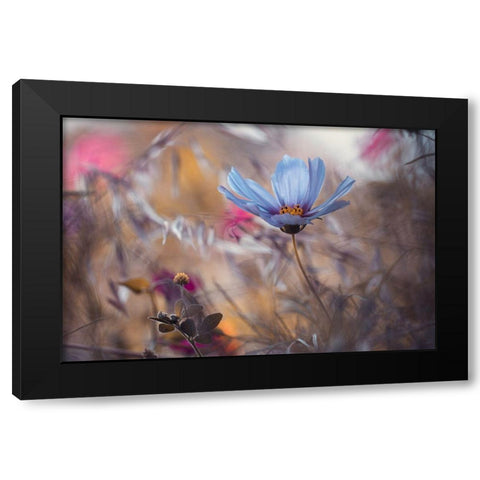 Things That Flowers Tell Black Modern Wood Framed Art Print with Double Matting by Bravin, Fabien