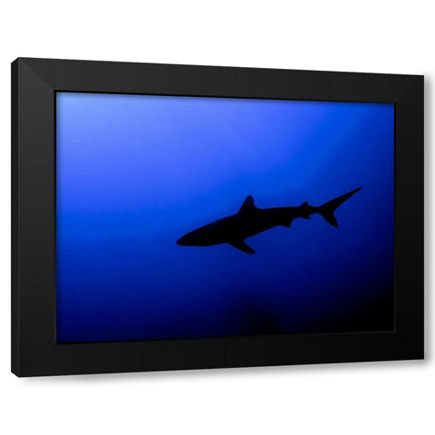 Silhouette Black Modern Wood Framed Art Print with Double Matting by Ben Tov, Ilan