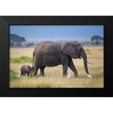 Life Black Modern Wood Framed Art Print by Feng, Young