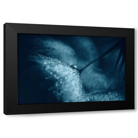 Blue Dandelions Black Modern Wood Framed Art Print with Double Matting by Blagoeva, Ivelina