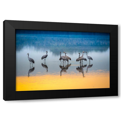 Untitled Black Modern Wood Framed Art Print by Amer, Eyal