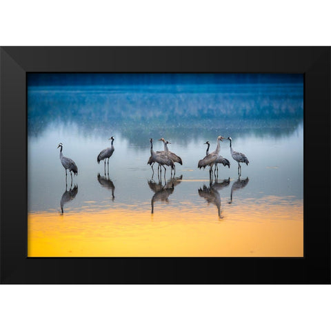 Untitled Black Modern Wood Framed Art Print by Amer, Eyal