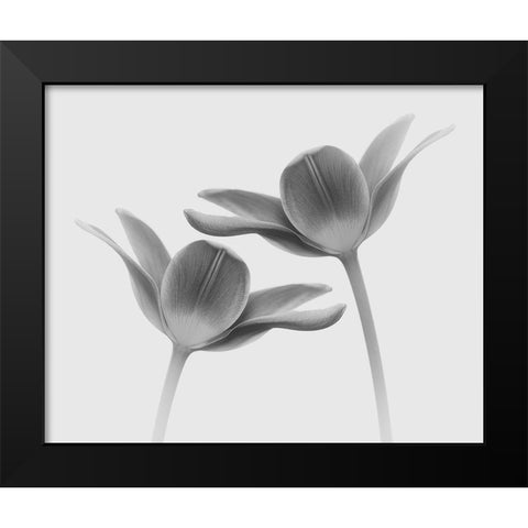 Twice The Same Black Modern Wood Framed Art Print by Gronkjar, Lotte
