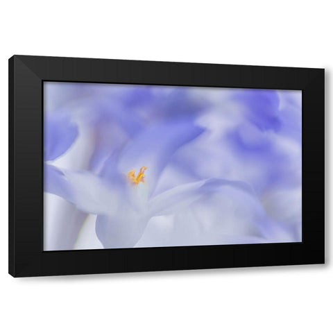 Blue Waves Black Modern Wood Framed Art Print by De Hoog, Roelof