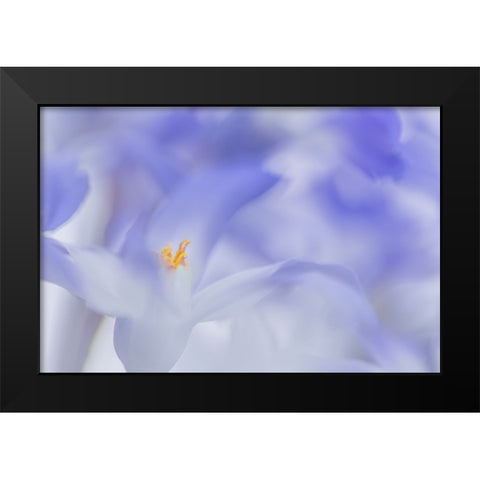 Blue Waves Black Modern Wood Framed Art Print by De Hoog, Roelof