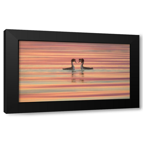 Lovers Black Modern Wood Framed Art Print with Double Matting by Marchegiani, Roberto