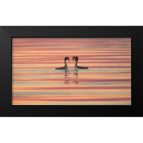 Lovers Black Modern Wood Framed Art Print by Marchegiani, Roberto