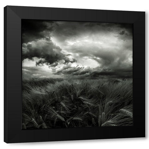 After The Storm Black Modern Wood Framed Art Print with Double Matting by Pfleghart, Franziskus
